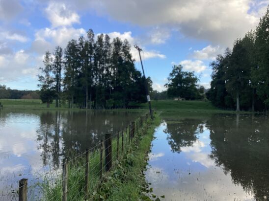 Pole In Paddock With Flooding