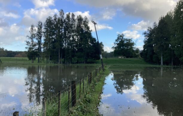 Pole In Paddock With Flooding